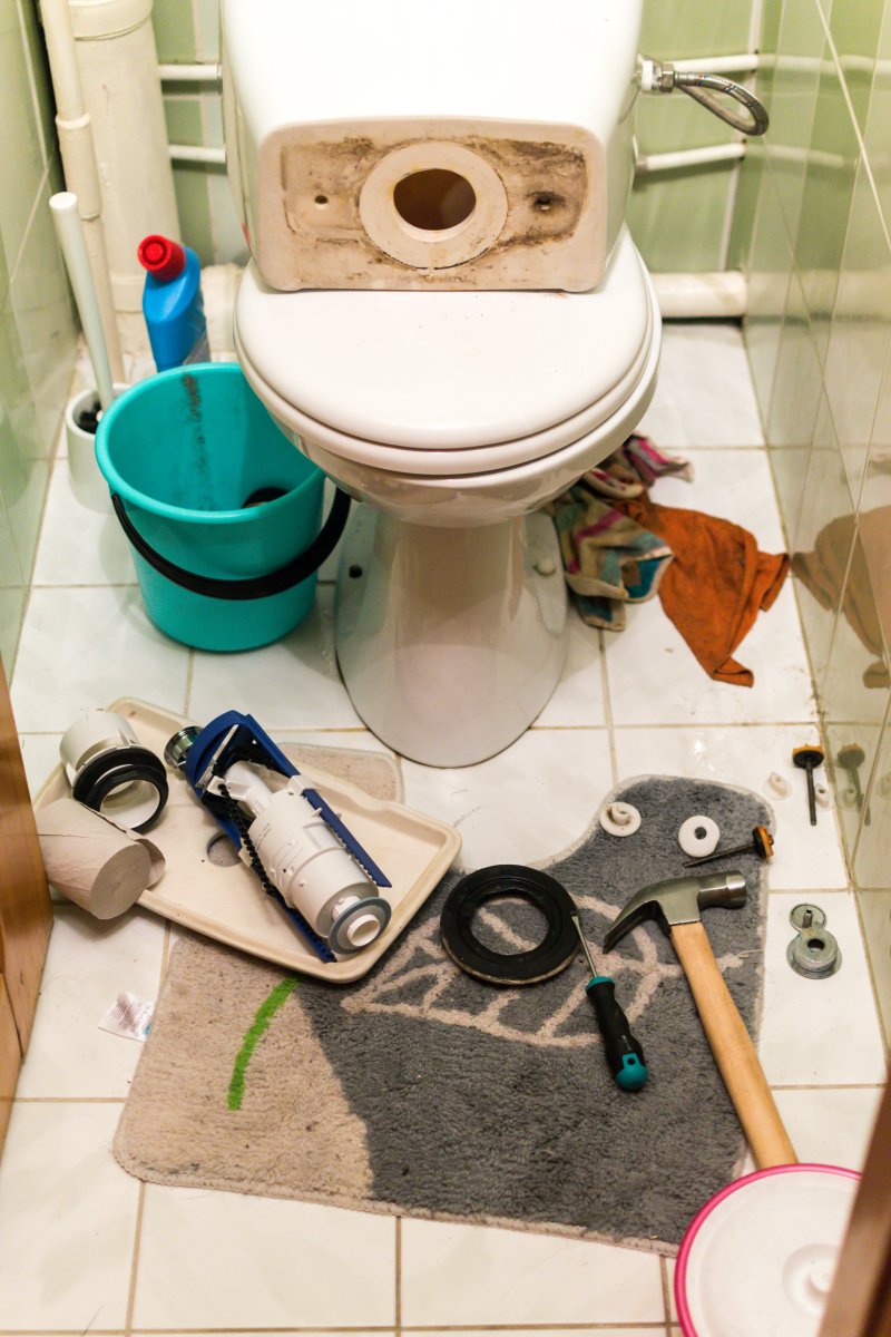 Blocked Toilet Maldon, Tollesbury, Tolleshunt D’arcy, CM9